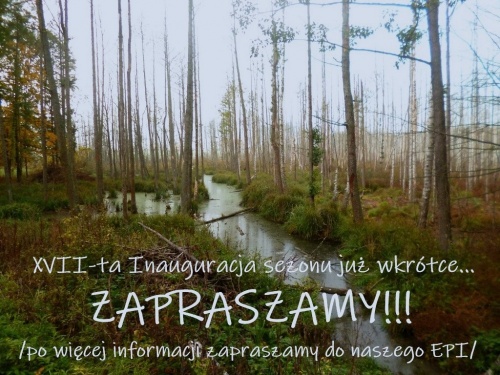 Sezon kaczkowy 2025.jpg